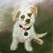 pet dog painting